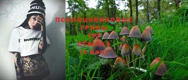 spice Алексеевка