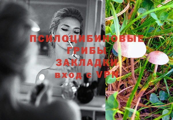 spice Алексеевка