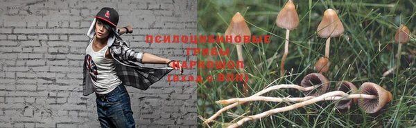 a pvp Алзамай