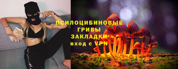ECSTASY Алексин